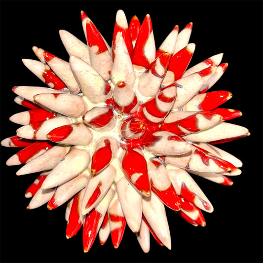 RICCIO PRIMA