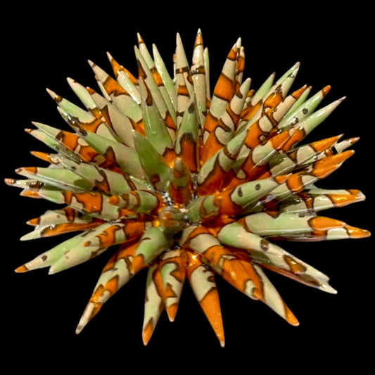 RICCIO SECONDA