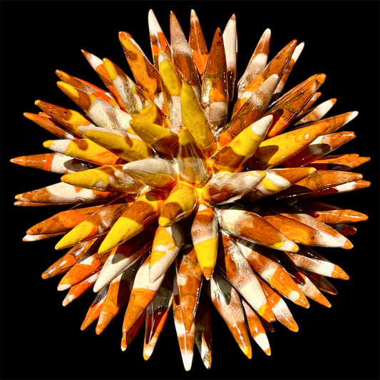 RICCIO SECONDA